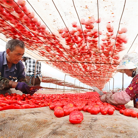 Sun-Dried Tomatoes