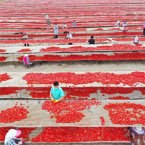 Sun-Dried Tomatoes
