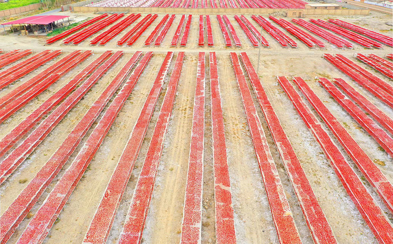 Dried Tomatoes